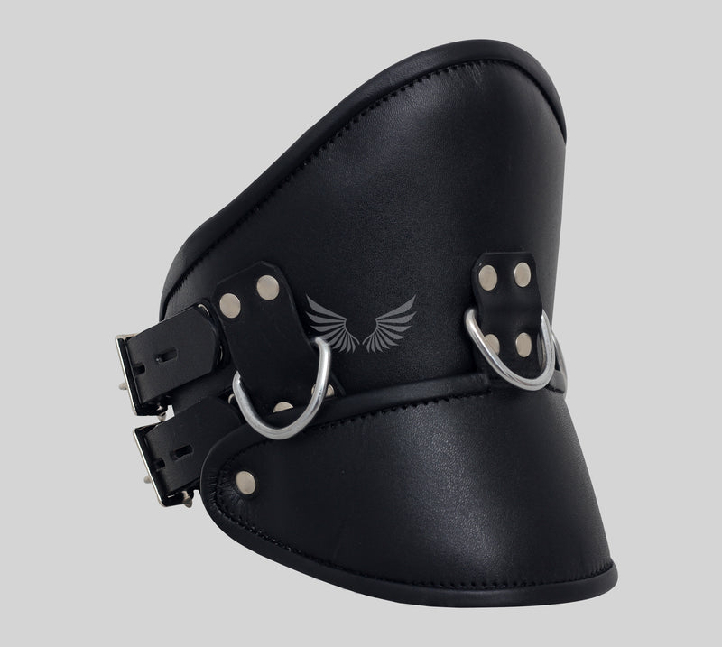 BDSM Posture Collar